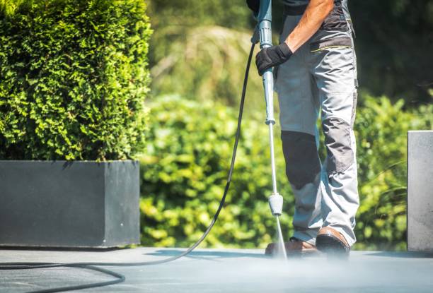Best Paint Preparation  in Kenton, OH