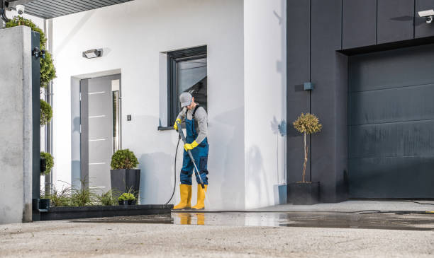 Best Animal Enclosure Cleaning  in Kenton, OH